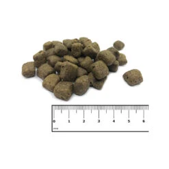 ICEPAW Adult Pure 11 ICEPAW Adult Pure -Hondenbenodigdheden Winkel icepaw adult pure 221026 1000 none