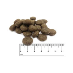 ICEPAW Scandic Duck -Hondenbenodigdheden Winkel icepaw scandic duck 221035 1000 none