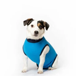 Jacketz Medical Body Suit Hond -Hondenbenodigdheden Winkel jacketz medical body suit hond s blue 129592 2000 none