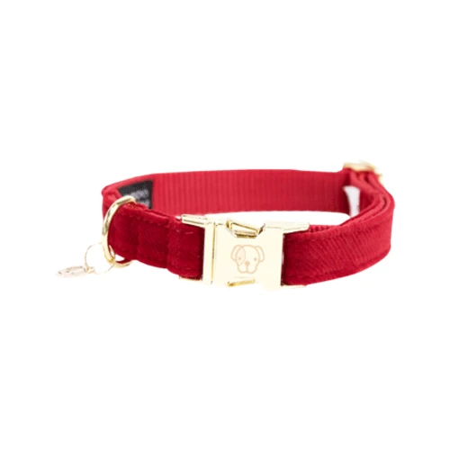 Kentucky Dogwear Corduroy Hondenhalsband 8 Kentucky Dogwear Corduroy Hondenhalsband - Afbeelding 6