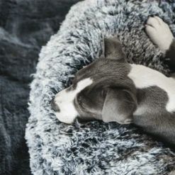 Kentucky Dogwear Comfort Donut Hondenmand -Hondenbenodigdheden Winkel kentucky dogwear comfort donut hondenmand 219723 0500 none