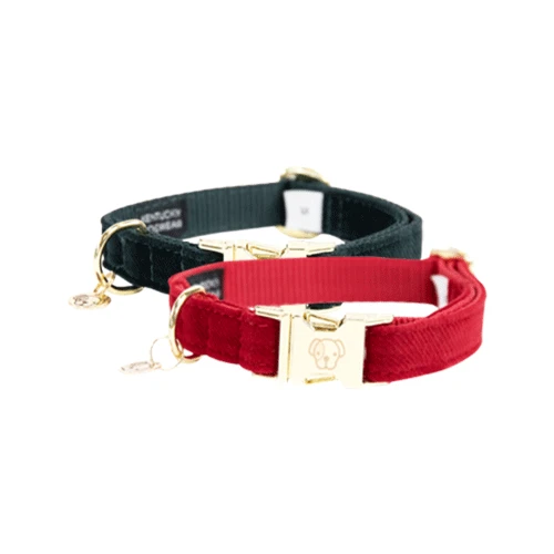 Kentucky Dogwear Corduroy Hondenhalsband 13 Kentucky Dogwear Corduroy Hondenhalsband - Afbeelding 11