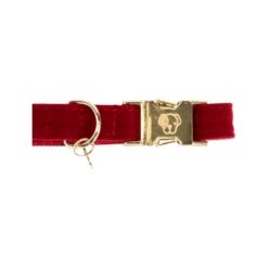 Kentucky Dogwear Corduroy Hondenhalsband 34 Kentucky Dogwear Corduroy Hondenhalsband -Hondenbenodigdheden Winkel kentucky dogwear corduroy hondenhalsband 219199 0500 none