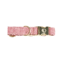 Kentucky Dogwear Hondenhalsband Wool 37 Kentucky Dogwear Hondenhalsband Wool -Hondenbenodigdheden Winkel kentucky dogwear hondenhalsband wool 219709 0500 none