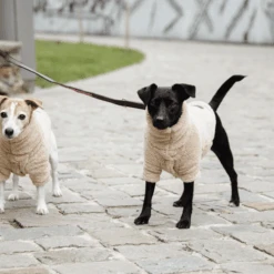 Kentucky Dogwear Hondenjas Teddy Fleece -Hondenbenodigdheden Winkel kentucky dogwear hondenjas teddy fleece 219186 0500 none