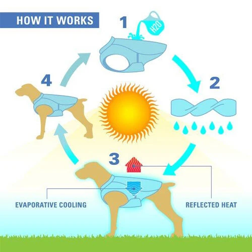 Kurgo Core Cooling Vest 15 Kurgo Core Cooling Vest - Afbeelding 13