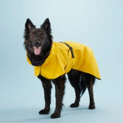 PAIKKA Visibility Raincoat Lite Yellow -Hondenbenodigdheden Winkel mW2Bw3791R8VnpD5P3PKMJkiXIFNZn metaUGFpa2thLVZpc2liaWxpdHktUmFpbmNvYXQtTGl0ZS1ZZWxsb3c0LmpwZw