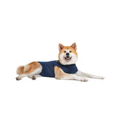 Medical Pet Shirt Hond 35 Medical Pet Shirt Hond -Hondenbenodigdheden Winkel medical pet shirt hond 167410 1000 none