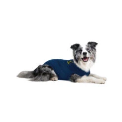 Medical Pet Shirt Hond 37 Medical Pet Shirt Hond -Hondenbenodigdheden Winkel medical pet shirt hond 167416 1000 none