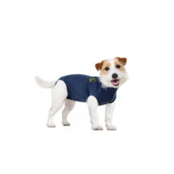 Medical Pet Shirt Hond 41 Medical Pet Shirt Hond -Hondenbenodigdheden Winkel medical pet shirt hond 167422 1000 none