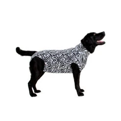 Medical Pet Shirt Hond Zebra Print 25 Medical Pet Shirt Hond Zebra Print -Hondenbenodigdheden Winkel medical pet shirt hond zebra print 167943 1000 none