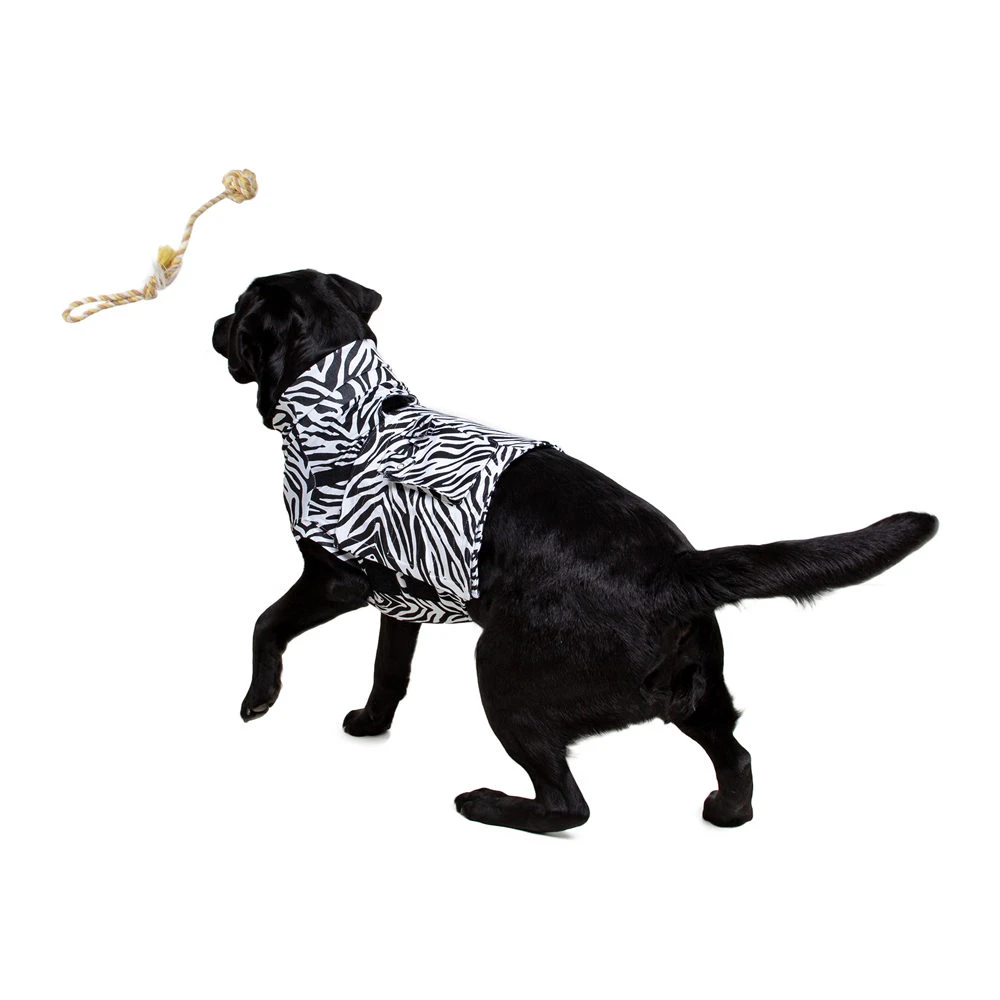 Medical Pet Top Shirt - Zebraprint 10 Medical Pet Top Shirt - Zebraprint - Afbeelding 8