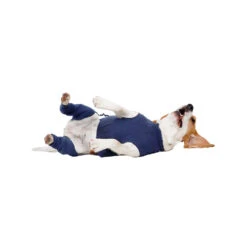 MPS-HLS Achterpootmouwtjes 20 MPS-HLS Achterpootmouwtjes -Hondenbenodigdheden Winkel mps hls achterpootmouwtjes 167440 1000 none