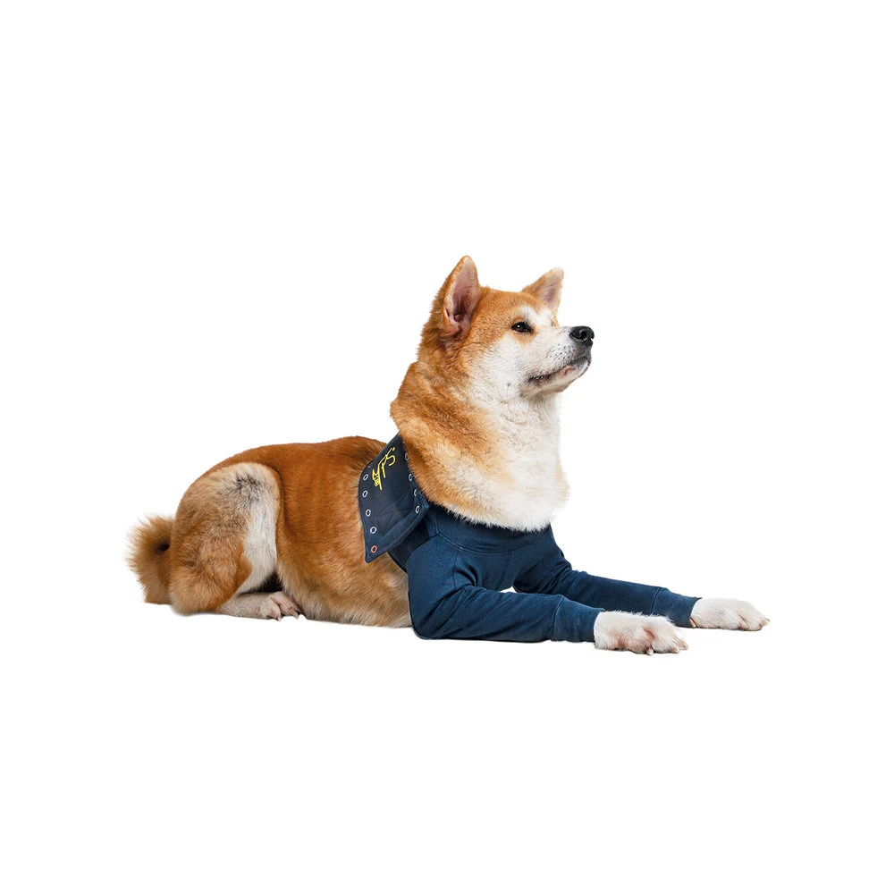 MPS-TAZ2 Voorpootmouwtjes 13 MPS-TAZ2 Voorpootmouwtjes - Afbeelding 11