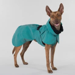 PAIKKA Visibility Raincoat Emerald 31 PAIKKA Visibility Raincoat Emerald -Hondenbenodigdheden Winkel paikka visibility raincoat emerald 222162 2000 none