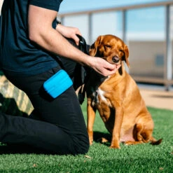 Popware Pooch Pouch Treatbag 13 Popware Pooch Pouch Treatbag -Hondenbenodigdheden Winkel popware pooch pouch treatbag 164698 2000 none