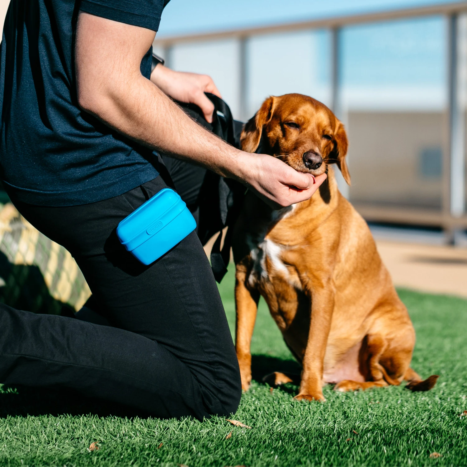 Popware Pooch Pouch Treatbag 8 Popware Pooch Pouch Treatbag - Afbeelding 6