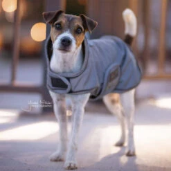 Kentucky Dog Coat Reflective & Waterrepellent -Hondenbenodigdheden Winkel prod 15746 219014 0500 none
