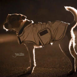 Kentucky Dog Coat Reflective & Waterrepellent -Hondenbenodigdheden Winkel prod 15746 219015 0500 none