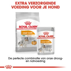 Royal Canin Coat Care Wet - Hondenvoer -Hondenbenodigdheden Winkel prod 8914 131831 1000 none