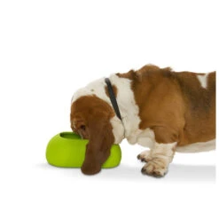 Buster Incredibowl 12 Buster Incredibowl -Hondenbenodigdheden Winkel product buster incredibowl none 4 1479720007 80827