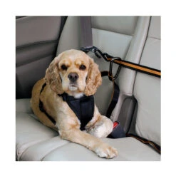 Kurgo Auto Leash - Zip Line Combo -Hondenbenodigdheden Winkel product kurgo auto zip line none 4 1476447679 78829