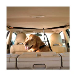 Kurgo Auto Leash - Zip Line Combo -Hondenbenodigdheden Winkel product kurgo auto zip line none 4 1476447681 78835