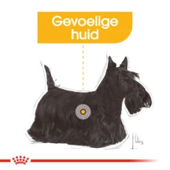 Royal Canin Dermacomfort Wet - Hondenvoer -Hondenbenodigdheden Winkel royal canin dermacomfort wet hondenvoer 131624 1000 none