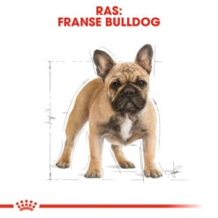 Royal Canin French Bulldog Adult - Hondenvoer -Hondenbenodigdheden Winkel royal canin french bulldog adult hondenvoer 138628 1000 none