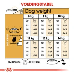 Royal Canin French Bulldog Adult - Hondenvoer -Hondenbenodigdheden Winkel royal canin french bulldog adult hondenvoer 138664 1000 none