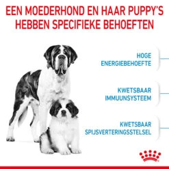 Royal Canin Giant Starter Mother & Babydog - Hondenvoer 15 Royal Canin Giant Starter Mother & Babydog - Hondenvoer -Hondenbenodigdheden Winkel royal canin giant starter mother babydog hondenvoer 206702 2000 none