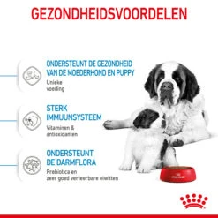 Royal Canin Giant Starter Mother & Babydog - Hondenvoer 16 Royal Canin Giant Starter Mother & Babydog - Hondenvoer -Hondenbenodigdheden Winkel royal canin giant starter mother babydog hondenvoer 206705 2000 none