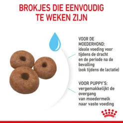 Royal Canin Giant Starter Mother & Babydog - Hondenvoer 17 Royal Canin Giant Starter Mother & Babydog - Hondenvoer -Hondenbenodigdheden Winkel royal canin giant starter mother babydog hondenvoer 206708 2000 none