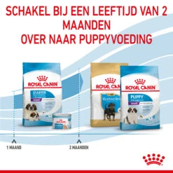 Royal Canin Giant Starter Mother & Babydog - Hondenvoer 18 Royal Canin Giant Starter Mother & Babydog - Hondenvoer -Hondenbenodigdheden Winkel royal canin giant starter mother babydog hondenvoer 206711 2000 none
