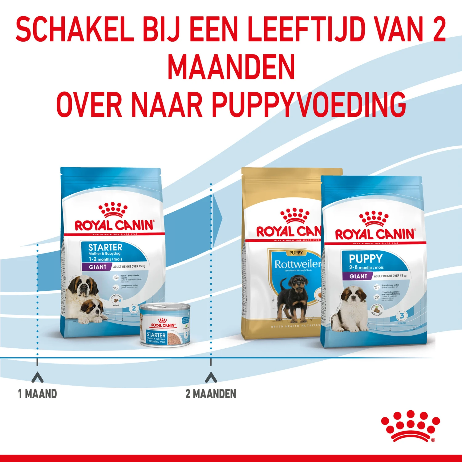 Royal Canin Giant Starter Mother & Babydog - Hondenvoer 9 Royal Canin Giant Starter Mother & Babydog - Hondenvoer - Afbeelding 7