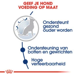 Royal Canin Maxi Ageing 8+ - Hondenvoer 17 Royal Canin Maxi Ageing 8+ - Hondenvoer -Hondenbenodigdheden Winkel royal canin maxi ageing 8 hondenvoer 128711 1000 none