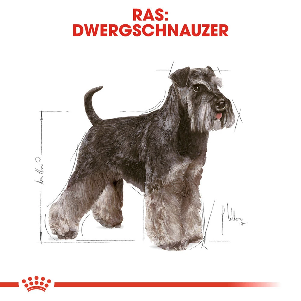 Royal Canin Mini Schnauzer Adult - Hondenvoer 8 Royal Canin Mini Schnauzer Adult - Hondenvoer - Afbeelding 6