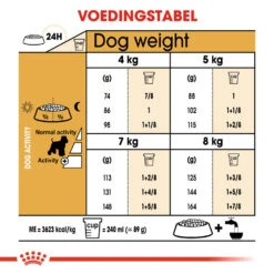 Royal Canin Mini Schnauzer Adult - Hondenvoer 19 Royal Canin Mini Schnauzer Adult - Hondenvoer -Hondenbenodigdheden Winkel royal canin mini schnauzer adult hondenvoer 140116 1000 none