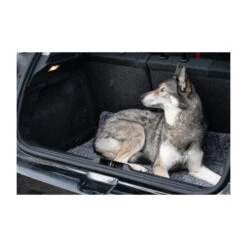 Royal Dry Doormat -Hondenbenodigdheden Winkel royal dry doormat 187417 2000 none