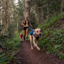 Ruffwear Roamer Leash - Blue Atoll -Hondenbenodigdheden Winkel ruffwear roamer leash blue atoll 204797 0500 none