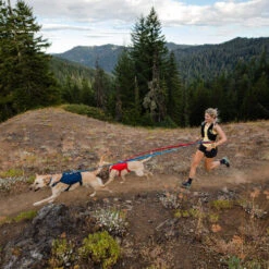 Ruffwear Roamer Leash - Blue Atoll -Hondenbenodigdheden Winkel ruffwear roamer leash blue atoll 204800 0500 none