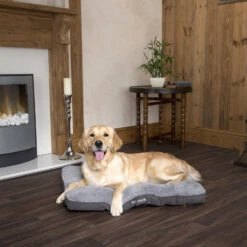 Boneguard Rawhide Bones 31 Boneguard Rawhide Bones -Hondenbenodigdheden Winkel scruffs cosy mattress 209366 1500 none