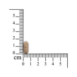 Sensipharm Feelings Control - Hond En Kat -Hondenbenodigdheden Winkel sensipharm feelings control hond en kat 174604 1000 none