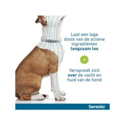 Seresto Hond 38 Seresto Hond -Hondenbenodigdheden Winkel seresto hond 174112 0500 none