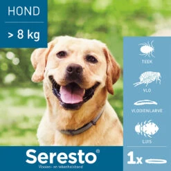 Seresto Hond 31 Seresto Hond -Hondenbenodigdheden Winkel seresto hond 180928 1000 none