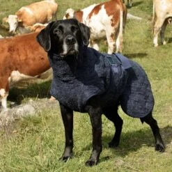 Siccaro WetDog SupremePro 2.0 32 Siccaro WetDog SupremePro 2.0 -Hondenbenodigdheden Winkel siccaro wetdog supremepro 190159 1000 none