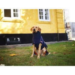 Siccaro WetDog SupremePro 2.0 35 Siccaro WetDog SupremePro 2.0 -Hondenbenodigdheden Winkel siccaro wetdog supremepro 20 216994 2000 none