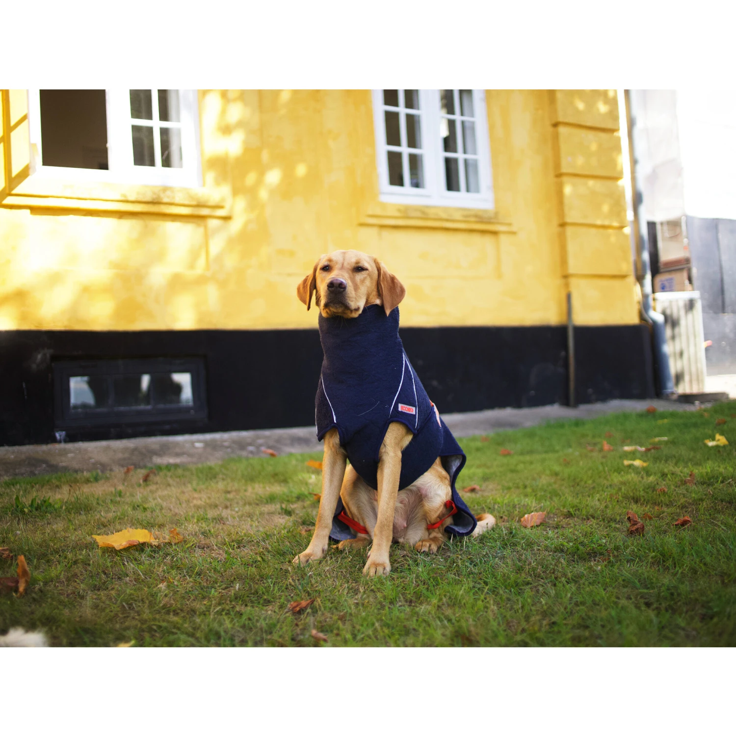 Siccaro WetDog SupremePro 2.0 16 Siccaro WetDog SupremePro 2.0 - Afbeelding 14