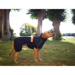 Siccaro WetDog SupremePro 2.0 33 Siccaro WetDog SupremePro 2.0 -Hondenbenodigdheden Winkel siccaro wetdog supremepro 20 216995 2000 none