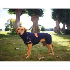 Siccaro WetDog SupremePro 2.0 31 Siccaro WetDog SupremePro 2.0 -Hondenbenodigdheden Winkel siccaro wetdog supremepro 20 216996 2000 none